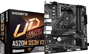 A520M DS3H V2 (Rev. 1.0)